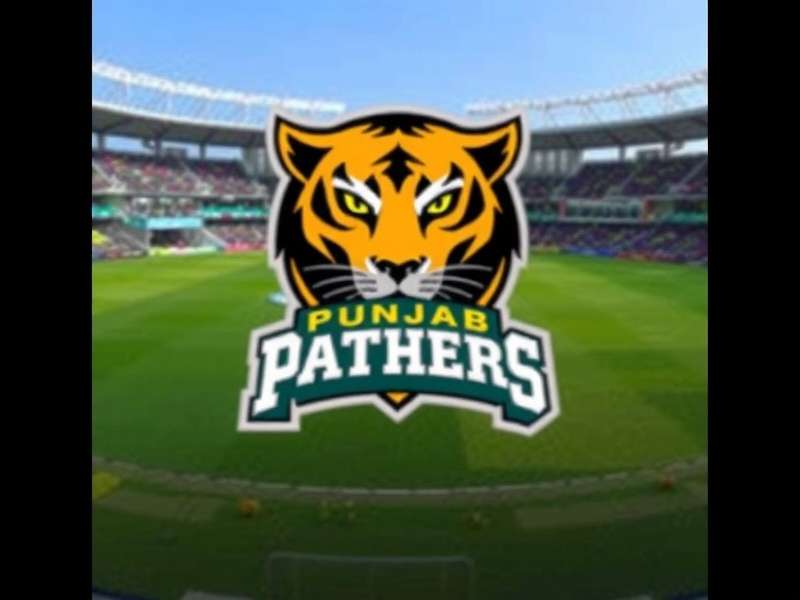 Punjab Panthers Push Download Statistics